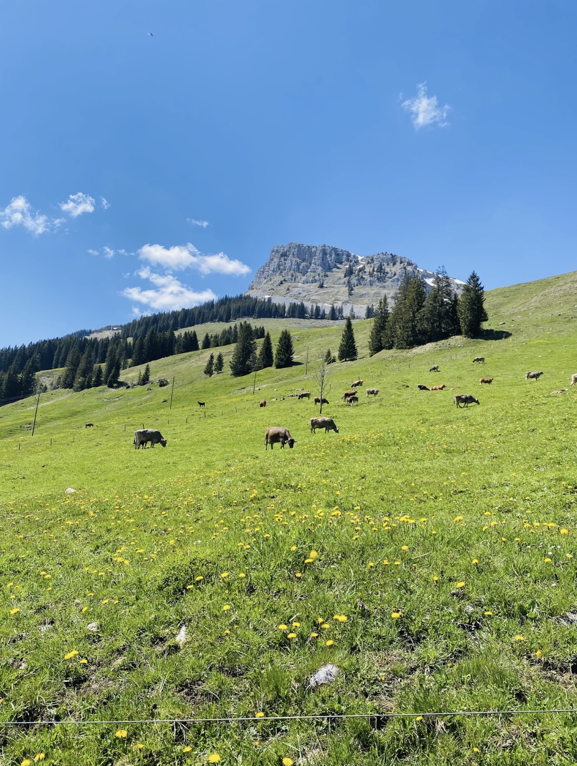 Stage reconnexion à soi Suisse romande prochain stage Prochain Stage Suisse romande reconnexion à soi